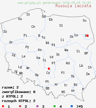 znaleziska Russula laccata (gołąbek norweski) na terenie Polski