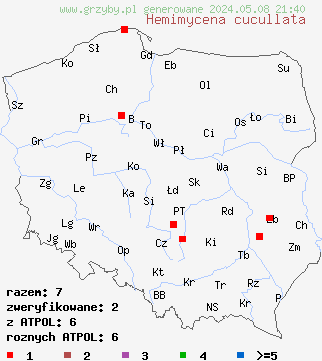 znaleziska Hemimycena cucullata (białogrzybówka gipsowa) na terenie Polski