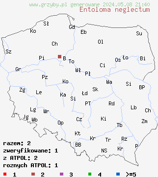 znaleziska Entoloma neglectum (dzwonkówka żółtawobiała) na terenie Polski