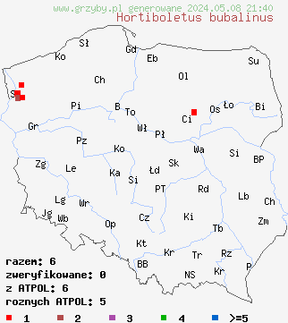 znaleziska Hortiboletus bubalinus (parkogrzybek morelowy) na terenie Polski