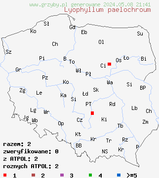 znaleziska Lyophyllum paelochroum (kępkowiec ziemistomączysty) na terenie Polski