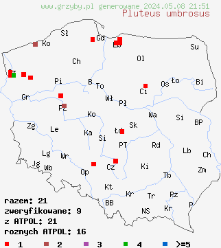 znaleziska Pluteus umbrosus (drobnołuszczak czarnożyłkowy) na terenie Polski