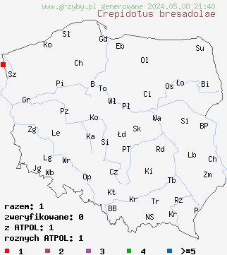 znaleziska Crepidotus bresadolae (ciżmówka kosmata) na terenie Polski