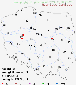znaleziska Agaricus lanipes (pieczarka krótkotrzonowa) na terenie Polski