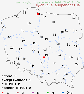 znaleziska Agaricus subperonatus (pieczarka kompostowa) na terenie Polski