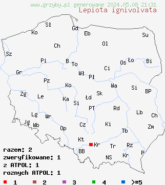 znaleziska Lepiota ignivolvata (czubajeczka czerwonopochwowa) na terenie Polski