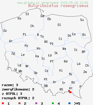 znaleziska Butyriboletus roseogriseus (masłoborowik różowoszary) na terenie Polski
