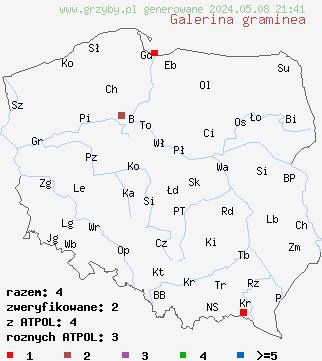 znaleziska Galerina graminea (hełmówka murawowa) na terenie Polski