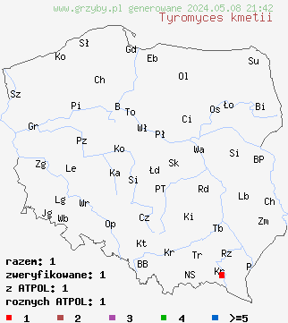 znaleziska Tyromyces kmetii (białak jasnopomarańczowy) na terenie Polski