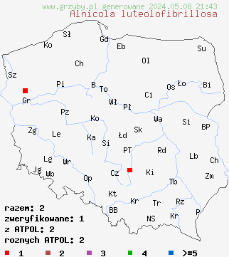 znaleziska Alnicola luteolofibrillosa (olszóweczka włóknista) na terenie Polski