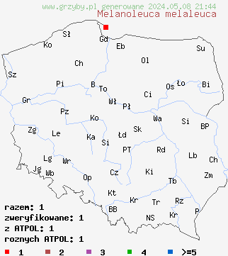 znaleziska Melanoleuca melaleuca (ciemnobiałka ciemna) na terenie Polski
