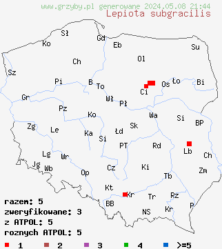 znaleziska Lepiota subgracilis (czubajeczka ziarnistołuskowata) na terenie Polski