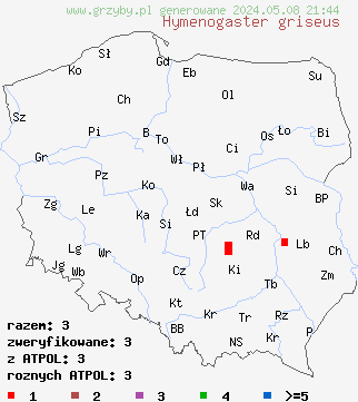 znaleziska Hymenogaster griseus (podziemniczek szary) na terenie Polski