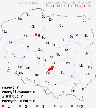 znaleziska Antrodiella faginea (jamkóweczka bukowa) na terenie Polski