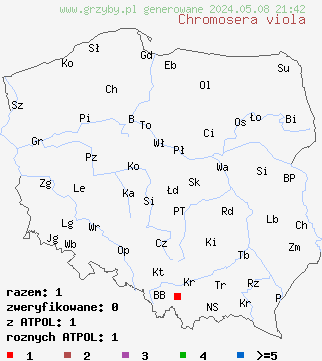 znaleziska Chromosera viola (złotopępówka fioletowa) na terenie Polski