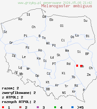 znaleziska Melanogaster ambiguus (czarnobrzuszek filcowaty) na terenie Polski