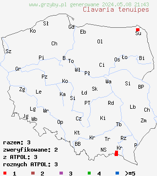 znaleziska Clavaria tenuipes (goździeniec cienkotrzonowy) na terenie Polski