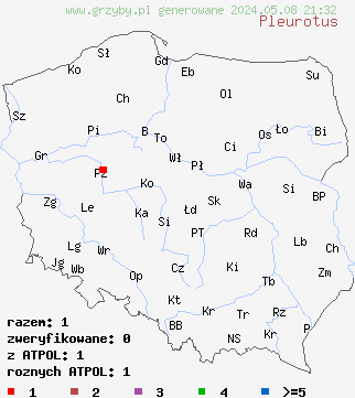 znaleziska Pleurotus (boczniak) na terenie Polski