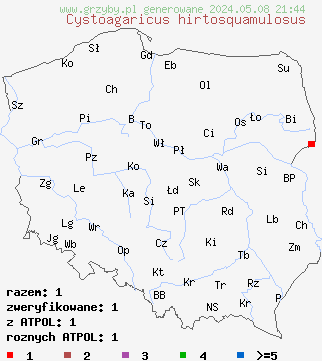 znaleziska Cystoagaricus hirtosquamulosus (kruchopieczarka jesionowa) na terenie Polski
