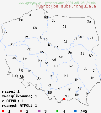 znaleziska Hygrocybe substrangulata (wilgotnica piaskowa) na terenie Polski