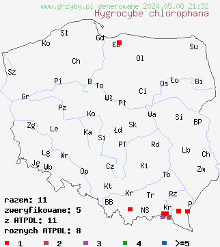 znaleziska Hygrocybe chlorophana (wilgotnica żółknąca) na terenie Polski