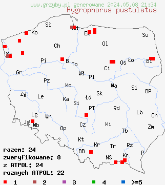 znaleziska Hygrophorus pustulatus (wodnicha kropkowana) na terenie Polski