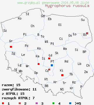 znaleziska Hygrophorus russula (wodnicha gołąbkowa) na terenie Polski