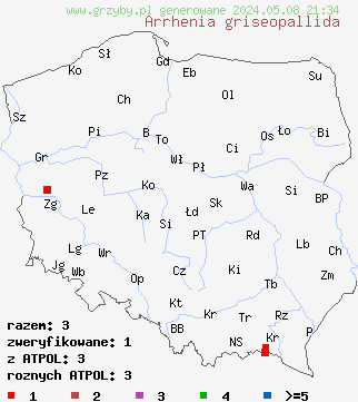 znaleziska Arrhenia griseopallida (języczek bocznotrzonowy) na terenie Polski