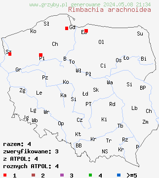 znaleziska Rimbachia arachnoidea (bezblaszka kulistozarodnikowa) na terenie Polski