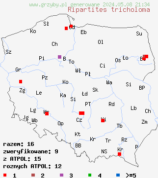 znaleziska Ripartites tricholoma (kosmatek strzępiastobrzegi) na terenie Polski