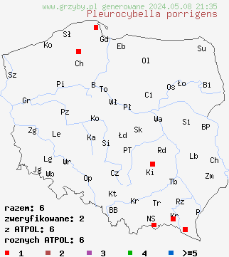 znaleziska Pleurocybella porrigens (bokówka biała) na terenie Polski