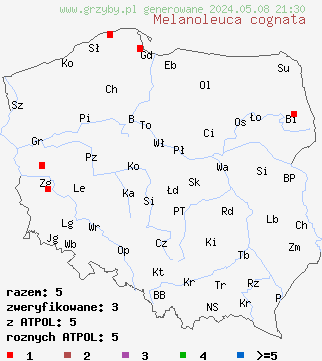 znaleziska Melanoleuca cognata (ciemnobiałka płowa) na terenie Polski