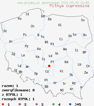 znaleziska Pithya cupressina na terenie Polski