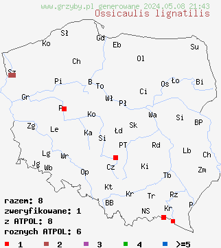 znaleziska Ossicaulis lignatilis (lejkownica nadrzewna) na terenie Polski