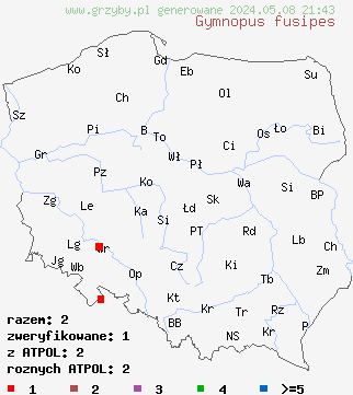 znaleziska Gymnopus fusipes (łysostopek wrzecionowatotrzonowy) na terenie Polski