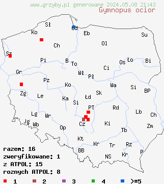 znaleziska Gymnopus ocior (łysostopek bursztynowy) na terenie Polski