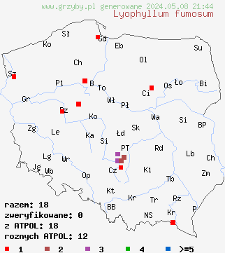 znaleziska Lyophyllum fumosum (kępkowiec ciemnoszary) na terenie Polski