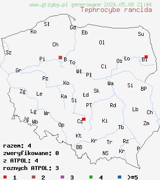 znaleziska Tephrocybe rancida (popielatek mącznorzodkwiowy) na terenie Polski