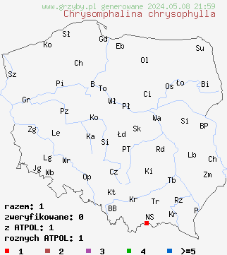 znaleziska Chrysomphalina chrysophylla (pępnica złotoblaszkowa) na terenie Polski