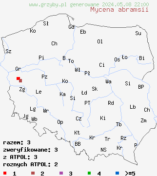 znaleziska Mycena abramsii (grzybówka wczesna) na terenie Polski