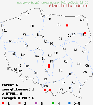 znaleziska Atheniella adonis (grzybówka pomarańczowoczerwona) na terenie Polski
