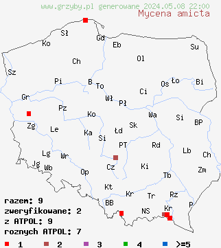 znaleziska Mycena amicta (grzybówka modrooliwkowa) na terenie Polski