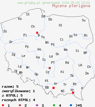 znaleziska Mycena pterigena (grzybówka paprociowa) na terenie Polski