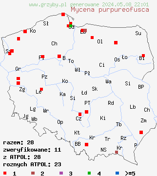 znaleziska Mycena purpureofusca (grzybówka fioletowobrązowa) na terenie Polski