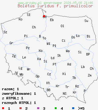 znaleziska Boletus luridus f. primulicolor na terenie Polski