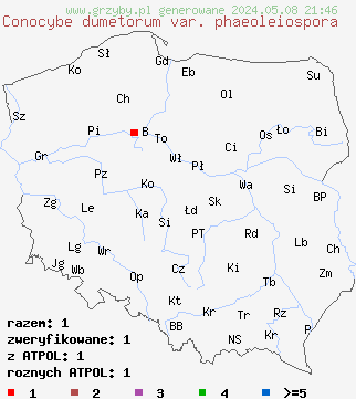 znaleziska Conocybe dumetorum var. phaeoleiospora na terenie Polski