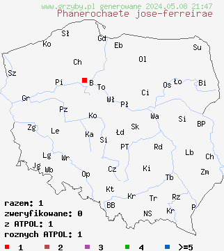 znaleziska Phanerochaete jose-ferreirae (korownica białopomarańczowa) na terenie Polski