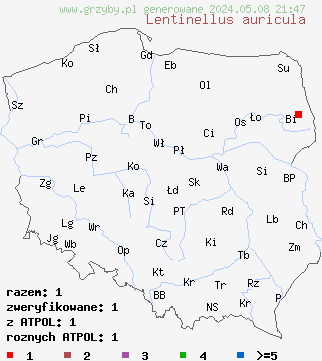 znaleziska Lentinellus auricula na terenie Polski