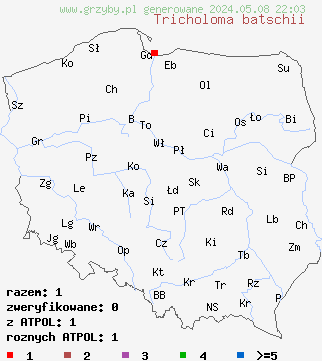 znaleziska Tricholoma batschii (gąska czerwonobrązowa) na terenie Polski