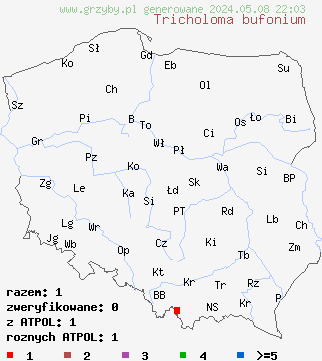 znaleziska Tricholoma bufonium (gąska winnobrązowa) na terenie Polski